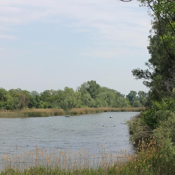 Landschaft-Landscape